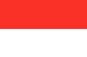 Flag of INA
