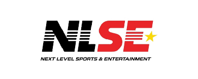 NLSE