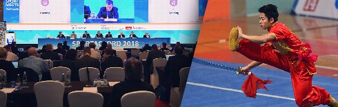 Sambo and Wushu apply for IWGA membership