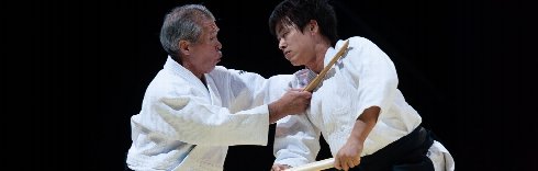 Successful Embukais of the Aikido Federation