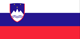 Flag of SLO