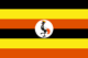 Flag of UGA